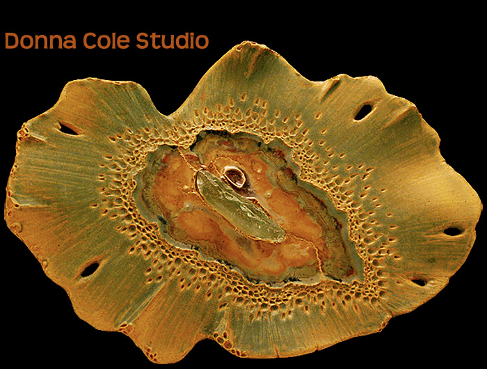 Donna Cole Studio